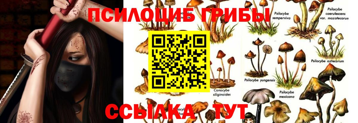 Минусинск  Псилоцибиновые грибы прущие грибы  Псилоцибиновые грибы мицелий  Вход с VPN 